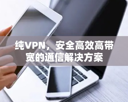 纯VPN,安全高效高带宽的通信解决方案 纯VPN,安全高效高带宽的通信解决方案