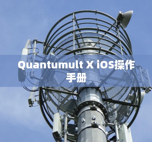 Quantumult X iOS操作手册