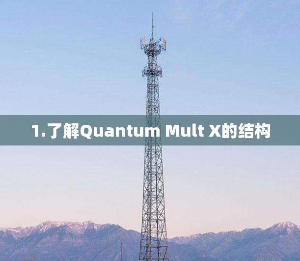 1.了解Quantum Mult X的结构