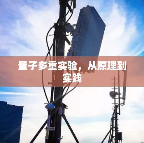 量子多重实验,从原理到实践 量子多重实验,从原理到实践