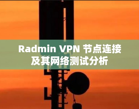 Radmin VPN 节点连接及其网络测试分析 Radmin VPN 节点连接及其网络测试分析