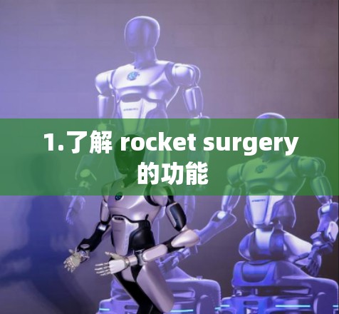 1.了解 rocket surgery 的功能