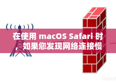在使用 macOS Safari 时,如果您发现网络连接慢、缓存不足或出现其他问题,可以尝试使用一些自动代理工具来辅助解决。以下是一些常见且可靠的工具 在使用 macOS Safari 时,如果您发现网络连接慢、缓存不足或出现其他问题,可以尝试使用一些自动代理工具来辅助解决。以下是一些常见且可靠的工具