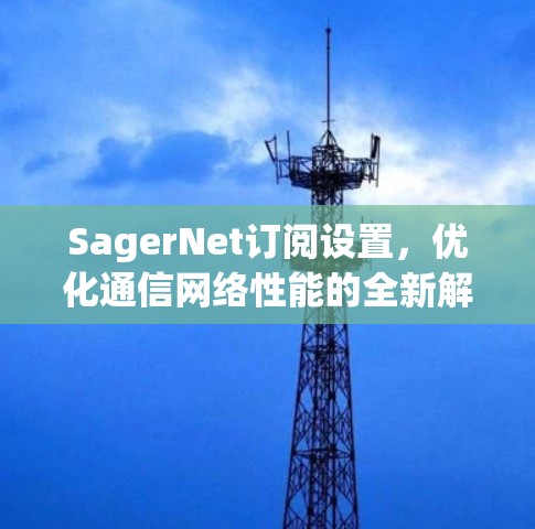 SagerNet订阅设置，优化通信网络性能的全新解决方案