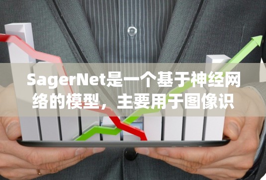 SagerNet是一个基于神经网络的模型，主要用于图像识别和分割任务。以下是一个详细且有条理的SagerNet的使用指南，涵盖了从构建网络结构到部署的整个流程