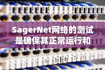 SagerNet网络的测试是确保其正常运行和性能优化的重要步骤。以下是一些在SagerNet网络测试中的常见步骤和方法 SagerNet网络的测试是确保其正常运行和性能优化的重要步骤。以下是一些在SagerNet网络测试中的常见步骤和方法
