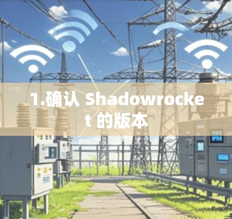 1.确认 Shadowrocket 的版本