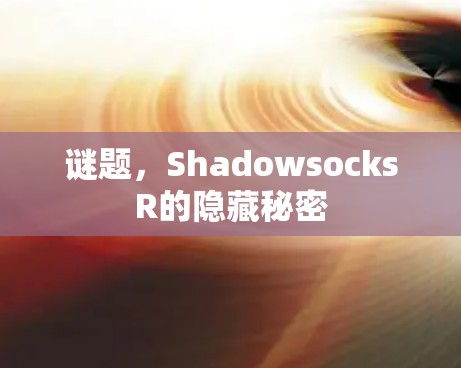 谜题,ShadowsocksR的隐藏秘密 谜题,ShadowsocksR的隐藏秘密