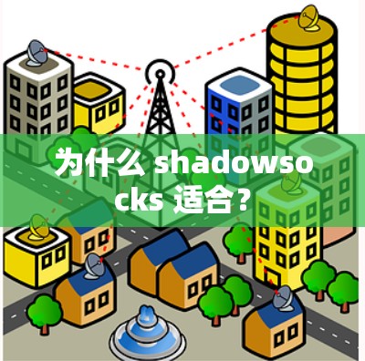 为什么 shadowsocks 适合? 为什么 shadowsocks 适合?
