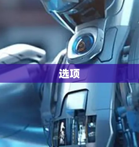 选项