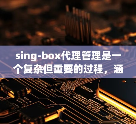 sing-box代理管理是一个复杂但重要的过程，涵盖了多个关键方面，以下是对sing-box代理管理的系统化指南