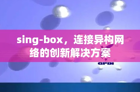 sing-box,连接异构网络的创新解决方案 sing-box,连接异构网络的创新解决方案