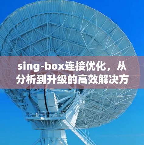 sing-box连接优化，从分析到升级的高效解决方案
