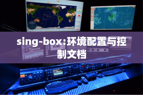 sing-box:环境配置与控制文档 sing-box:环境配置与控制文档