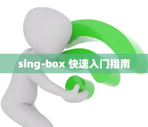 sing-box 快速入门指南