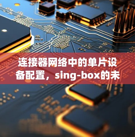 连接器网络中的单片设备配置,sing-box的未来 连接器网络中的单片设备配置,sing-box的未来