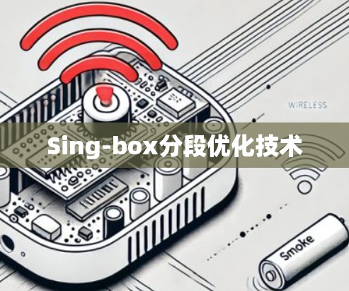 Sing-box分段优化技术
