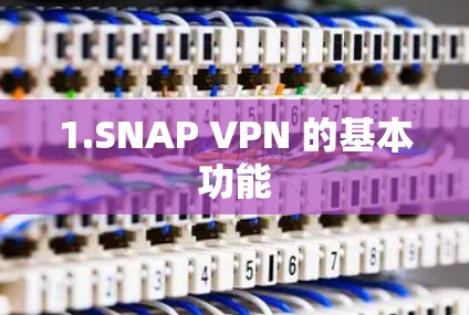 1.SNAP VPN 的基本功能 1.SNAP VPN 的基本功能