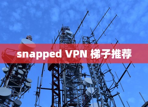 snapped VPN 梯子推荐