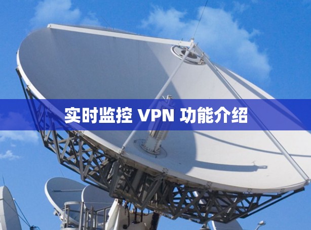实时监控 VPN 功能介绍 实时监控 VPN 功能介绍