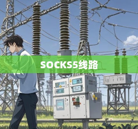 SOCKS5线路 SOCKS5线路