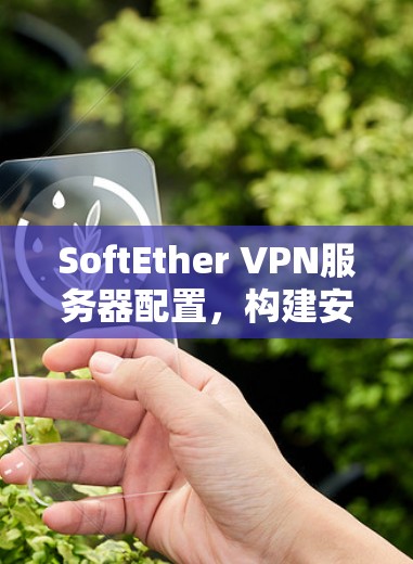 SoftEther VPN服务器配置,构建安全私有网络解决方案 SoftEther VPN服务器配置,构建安全私有网络解决方案