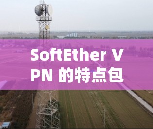 SoftEther VPN 的特点包括 SoftEther VPN 的特点包括