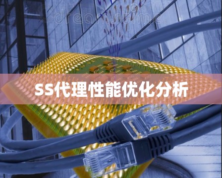 SS代理性能优化分析