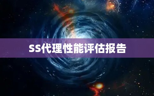 SS代理性能评估报告 SS代理性能评估报告