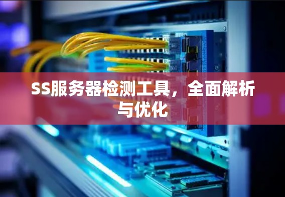 SS服务器检测工具，全面解析与优化