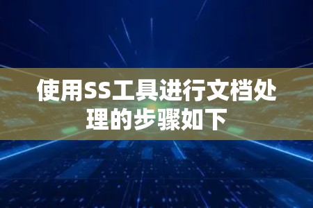 使用SS工具进行文档处理的步骤如下 使用SS工具进行文档处理的步骤如下