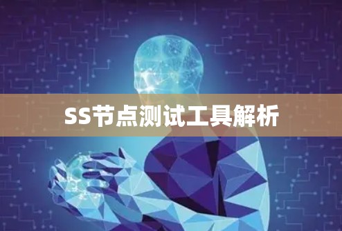 SS节点测试工具解析 SS节点测试工具解析