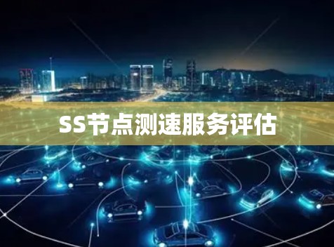 SS节点测速服务评估