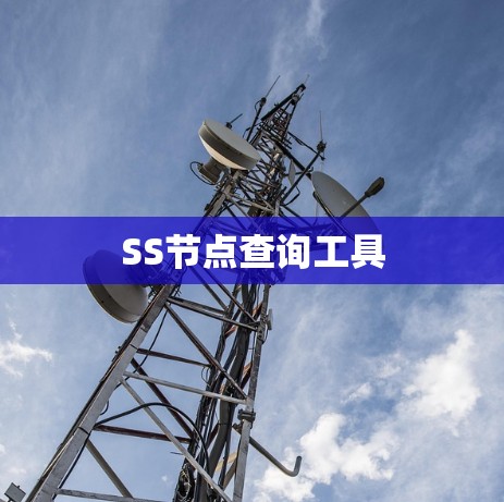 SS节点查询工具 SS节点查询工具