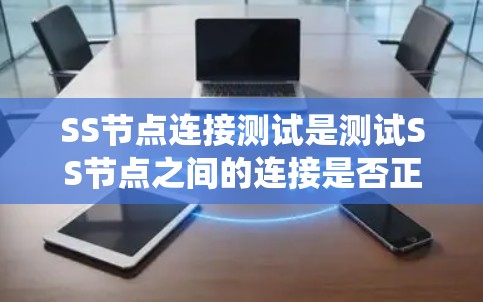 SS节点连接测试是测试SS节点之间的连接是否正常的重要步骤。以下是对SS节点连接测试的系统总结