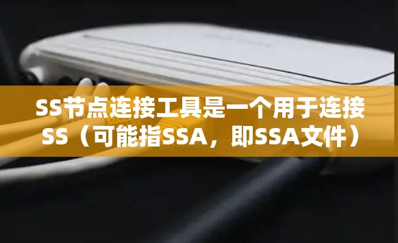 SS节点连接工具是一个用于连接SS（可能指SSA，即SSA文件）到特定节点的工具。以下是对该工具的详细总结