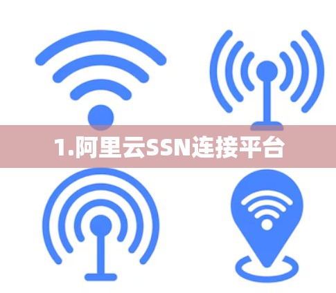 1.阿里云SSN连接平台