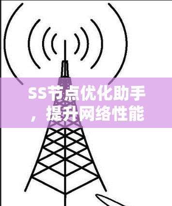 SS节点优化助手,提升网络性能与可靠性 SS节点优化助手,提升网络性能与可靠性