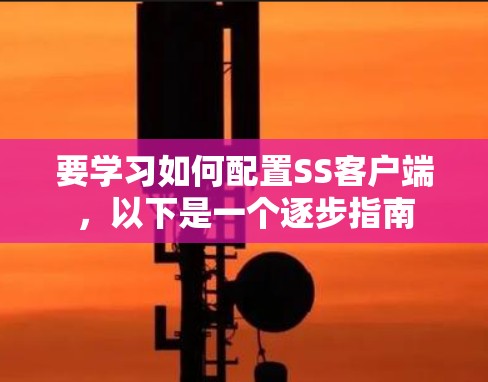 要学习如何配置SS客户端，以下是一个逐步指南
