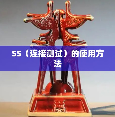 SS(连接测试)的使用方法 SS(连接测试)的使用方法