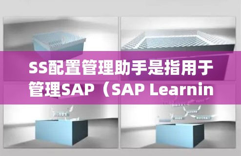SS配置管理助手是指用于管理SAP（SAP Learning Management System）配置工具的软件，旨在帮助用户高效配置和管理SAP系统中的数据和信息。以下是对该工具的详细介绍