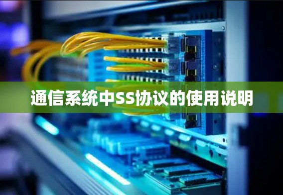 通信系统中SS协议的使用说明 通信系统中SS协议的使用说明