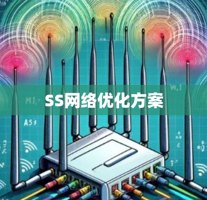 SS网络优化方案 SS网络优化方案