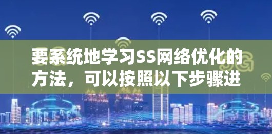 要系统地学习SS网络优化的方法,可以按照以下步骤进行 要系统地学习SS网络优化的方法,可以按照以下步骤进行