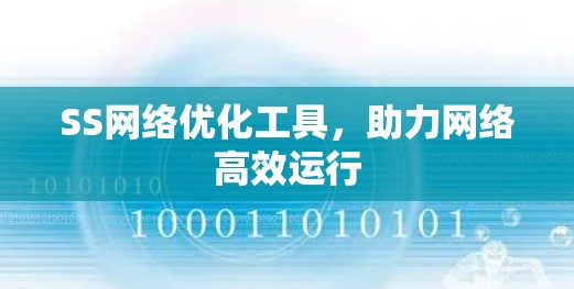 SS网络优化工具,助力网络高效运行 SS网络优化工具,助力网络高效运行