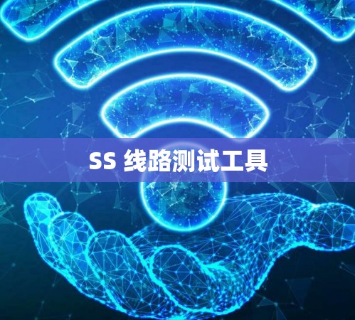 SS 线路测试工具 SS 线路测试工具