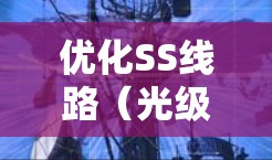 优化SS线路（光级间连接）方案是一个全面且复杂的过程，涉及多个环节和因素。以下是对该主题的详细分析和建议