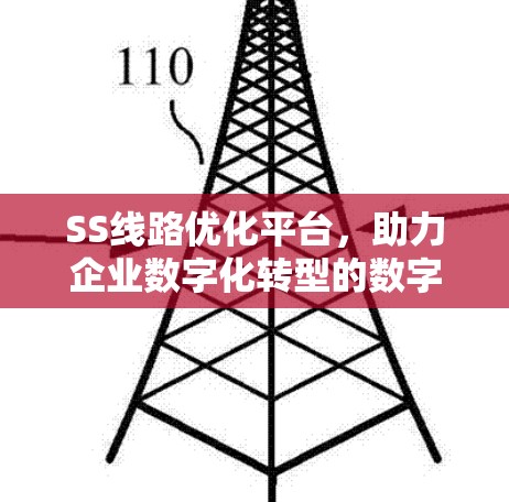 SS线路优化平台，助力企业数字化转型的数字化解决方案