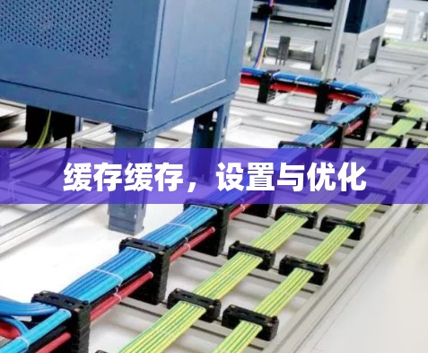 缓存缓存，设置与优化