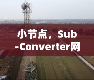 小节点,Sub-Converter网络的探索与应用 小节点,Sub-Converter网络的探索与应用